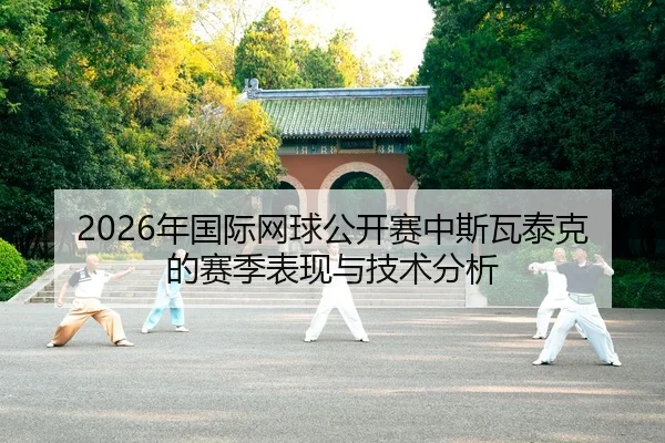 nian-guo-ji-wang-qiu-gong-kai-sai-zhong-si-wa-tai-ke-de-sai-ji-biao-xian-yu-ji-shu-fen-xi-2-378.jpg