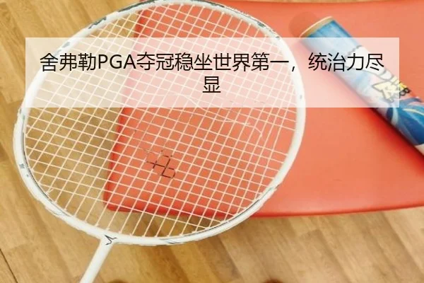 舍弗勒PGA夺冠稳坐世界第一，统治力尽显 | 6686.com